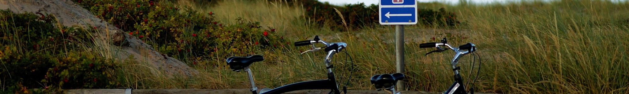 Recreational Bicycle Hub Network Istock 525451321 Credit Olgayu